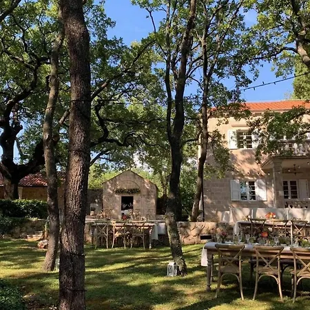 Tereza Dubrovnik